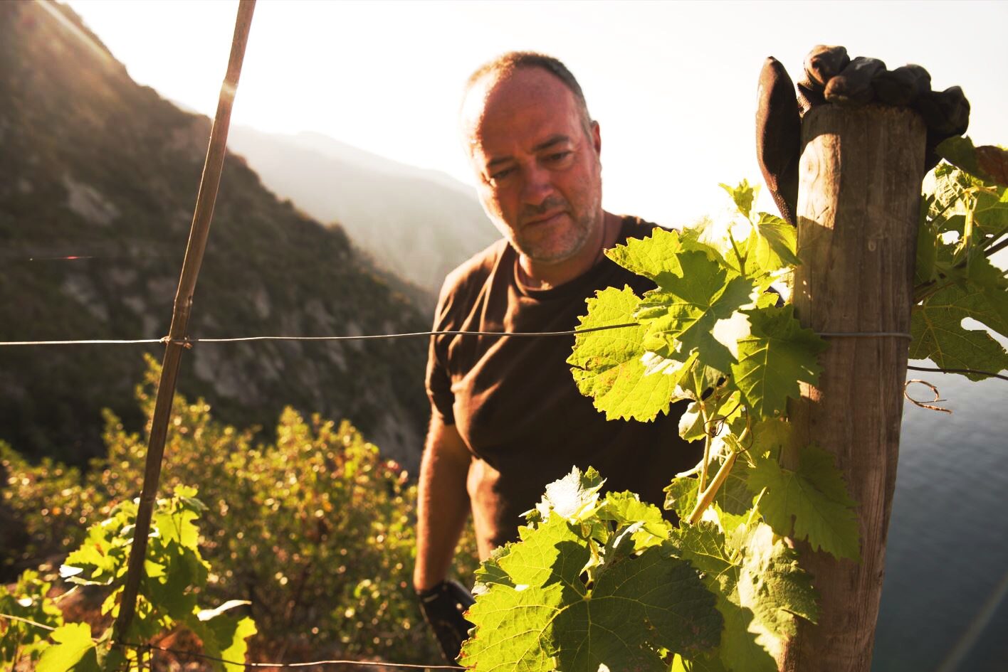 Azienda Agricola Possa