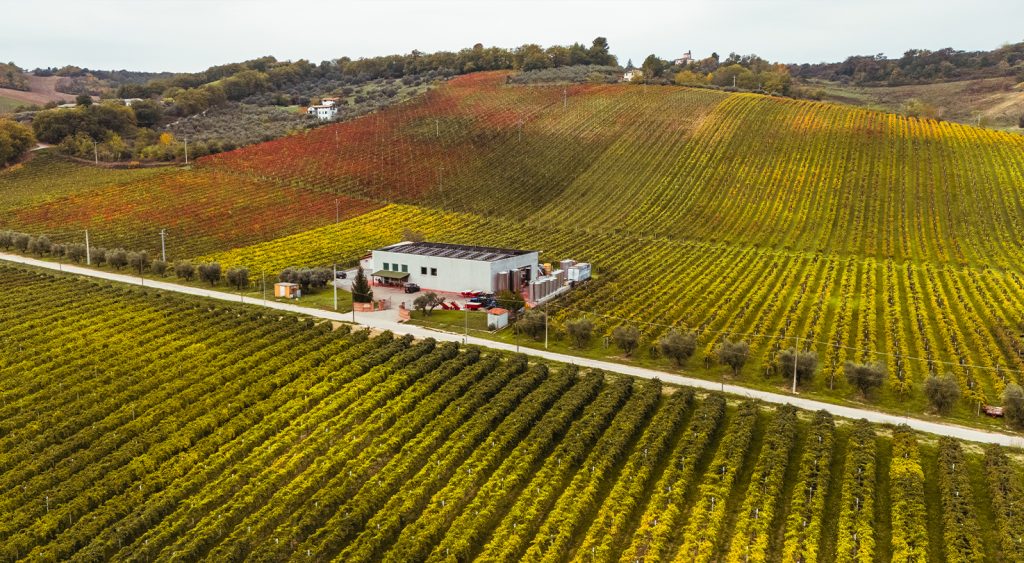 Tenuta Arabone