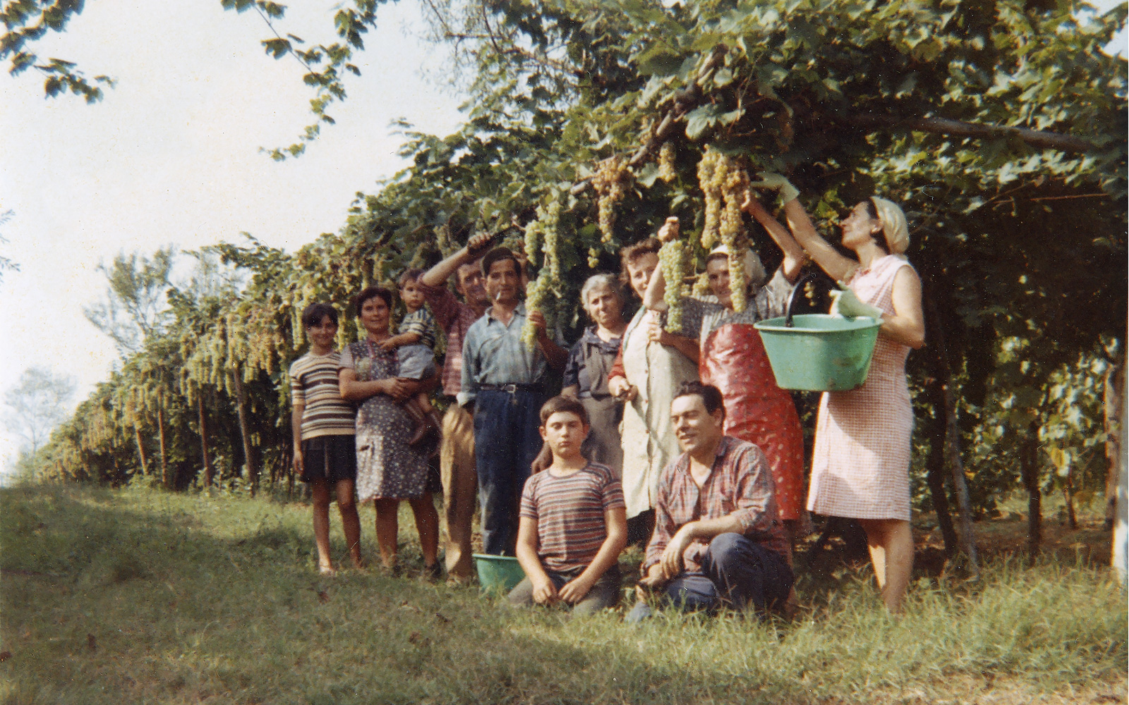 Azienda Agricola Balducci