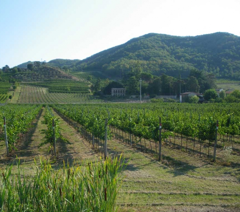 Terre Preziose