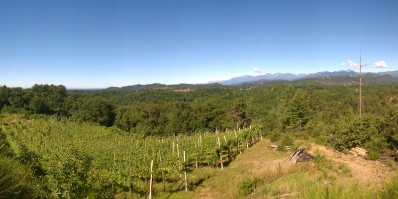 Azienda Agricola Ceruti Lorenzo