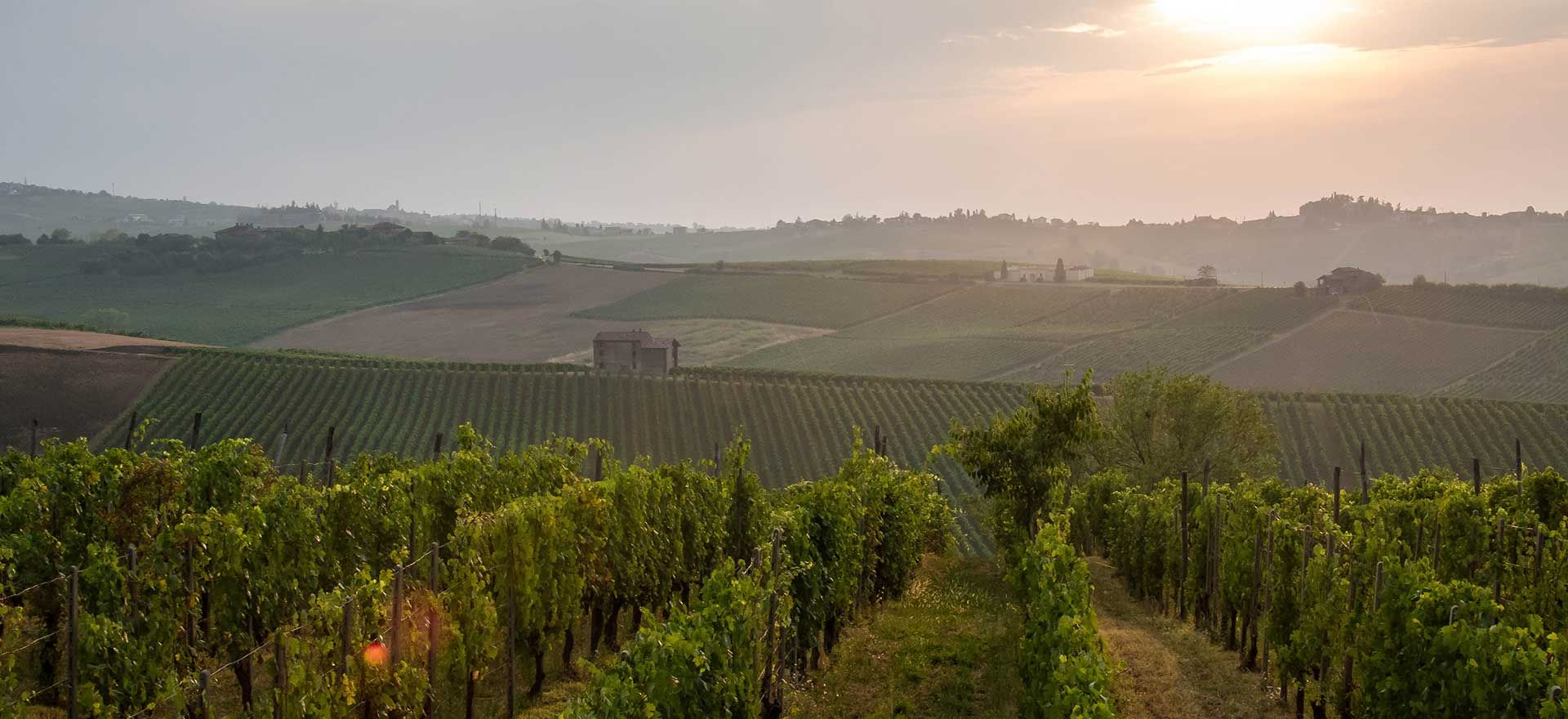 Cantina Casabella