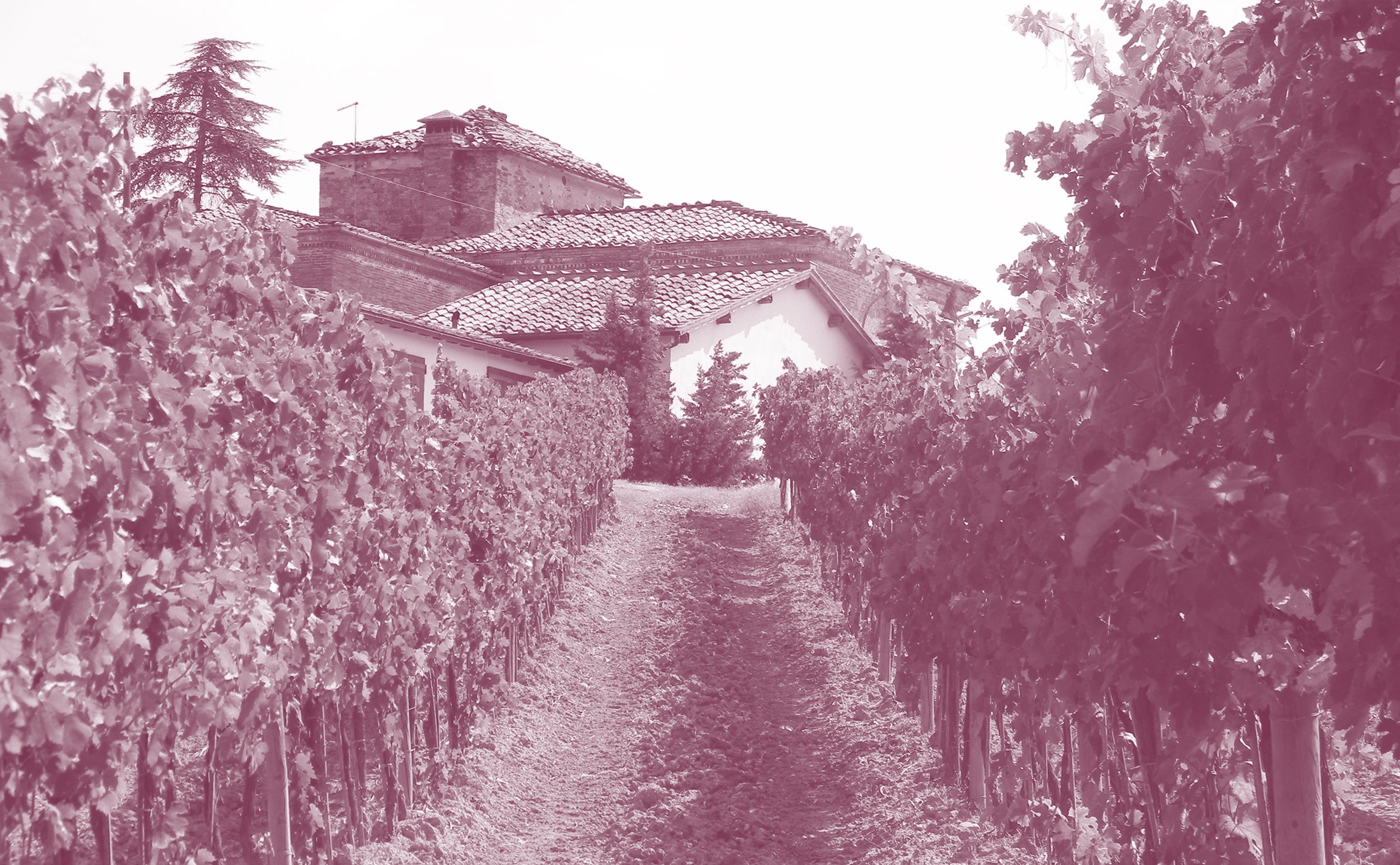 Certosa di Belriguardo