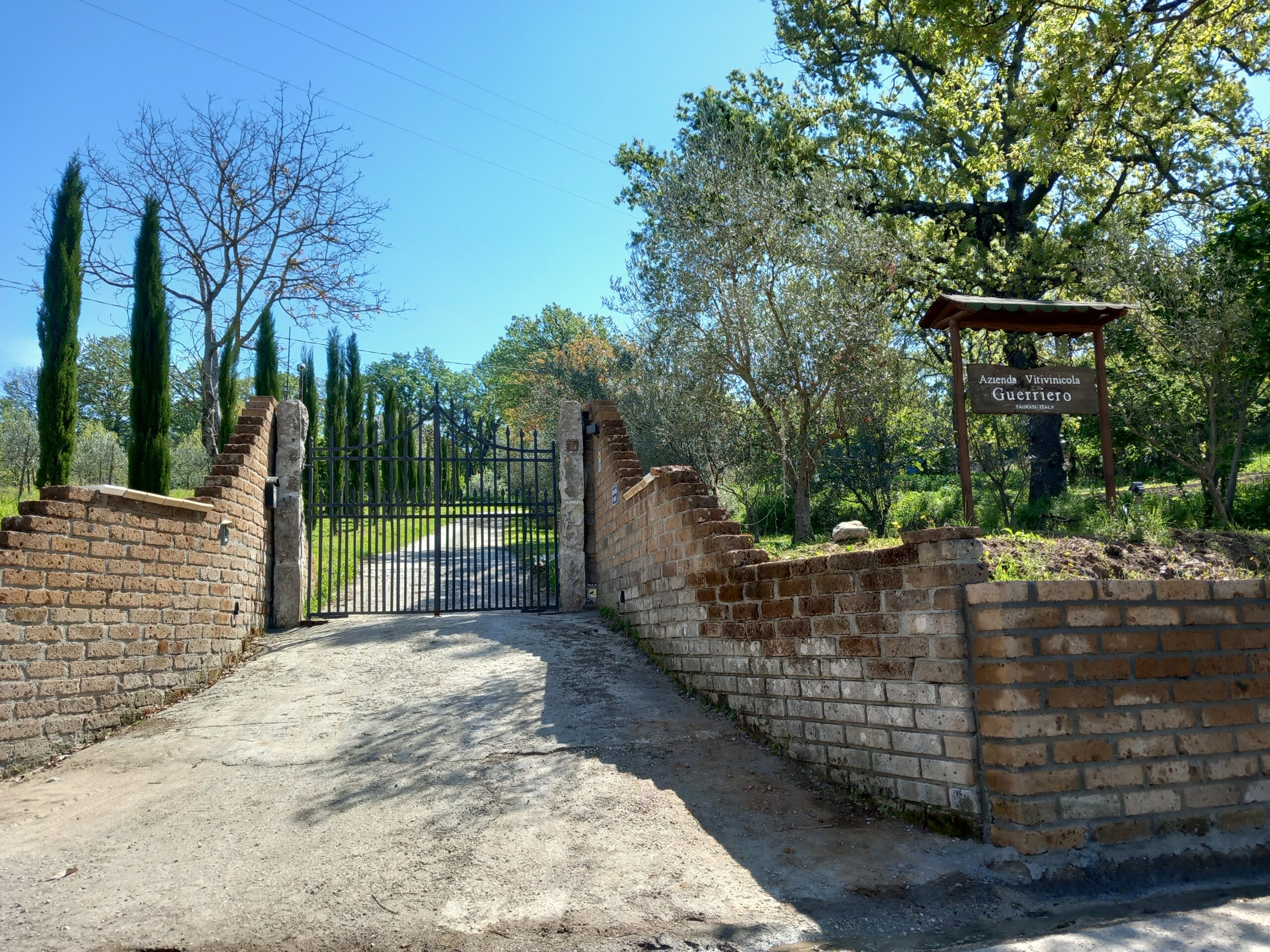 Vigne Guadagno