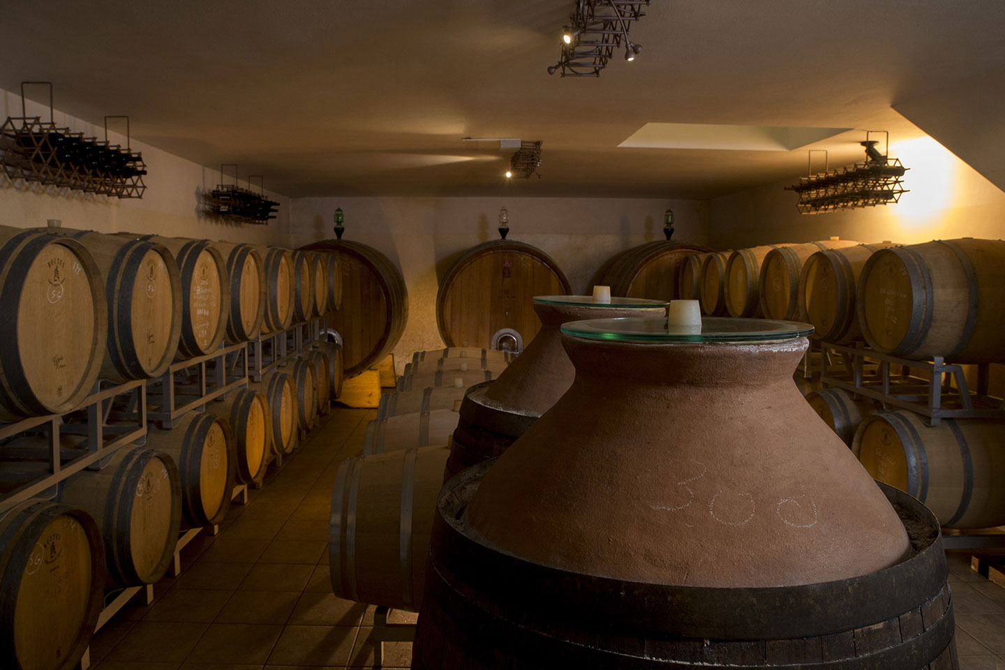 Podere Vecciano