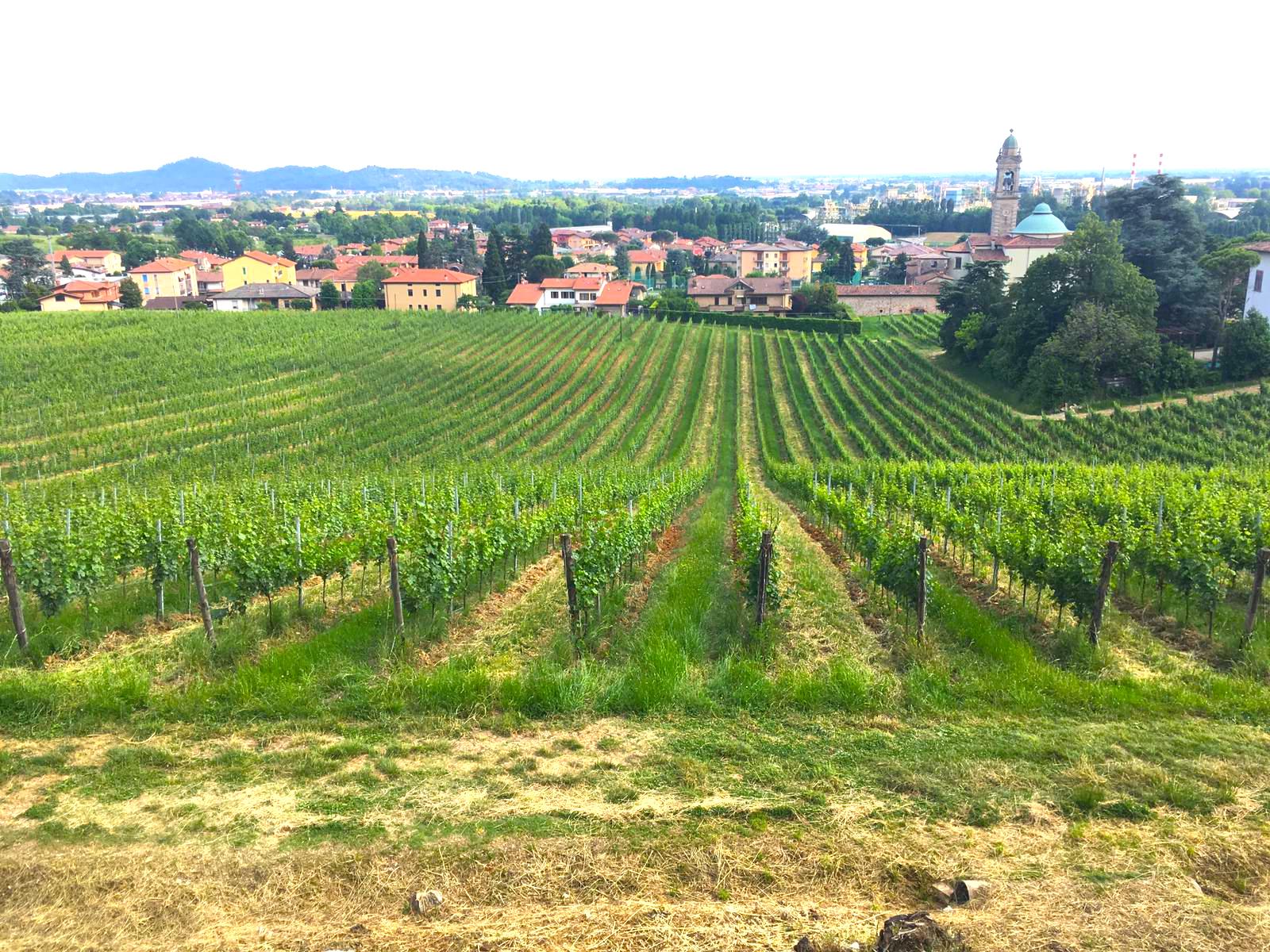 Cantina Sociale Bergamasca