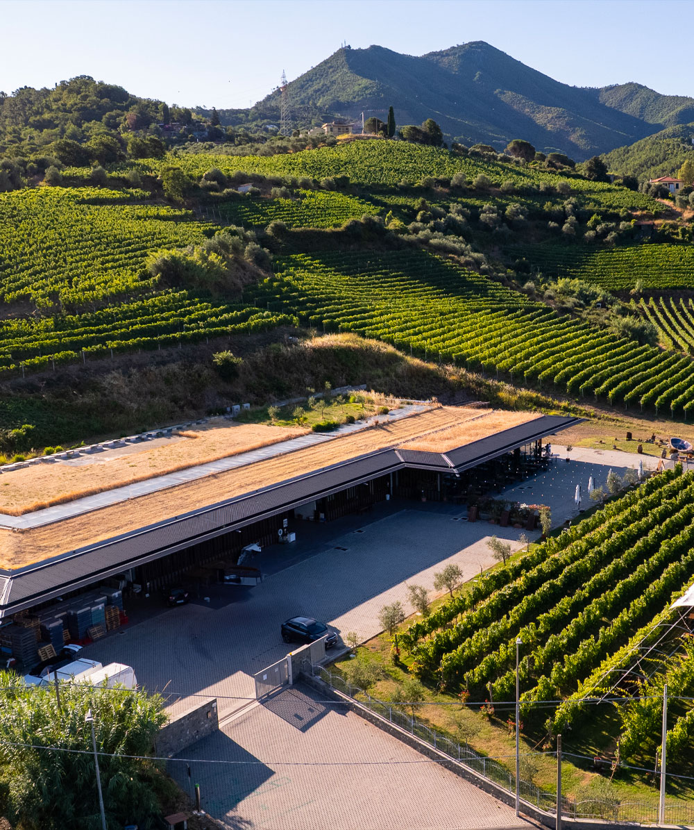 Bisson Vini Cantina degli Abissi