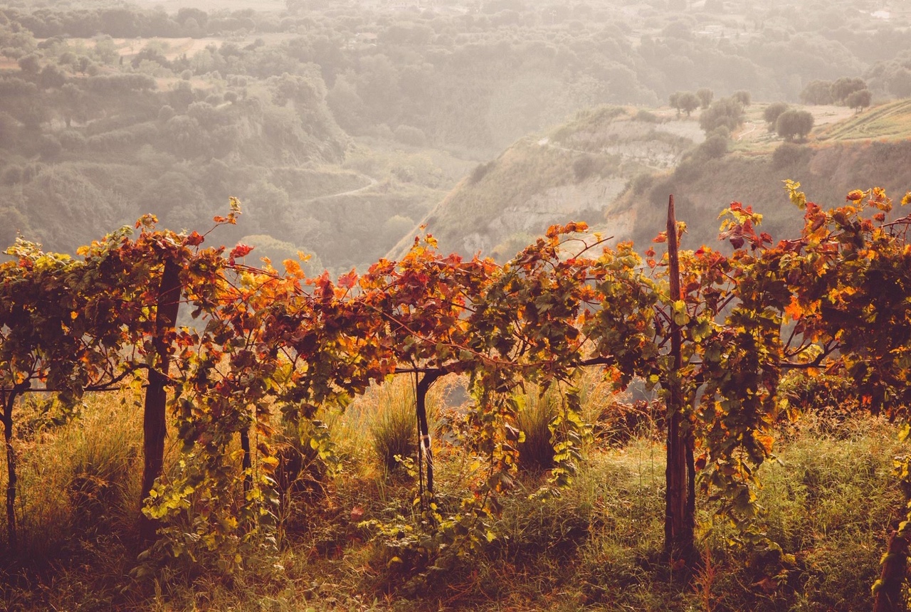 Trupia - Cantine Rombolà
