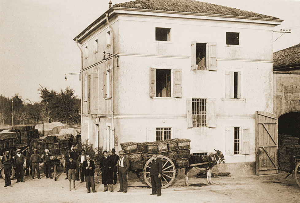 Santa Croce
