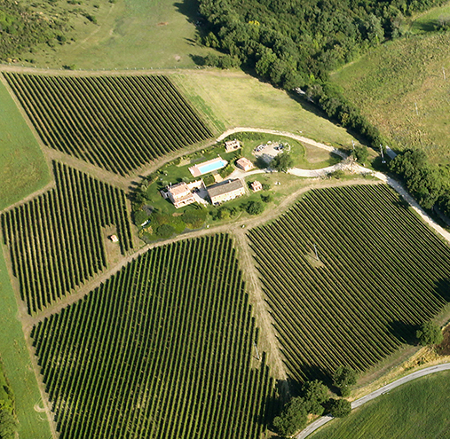 Tenuta Colpaola