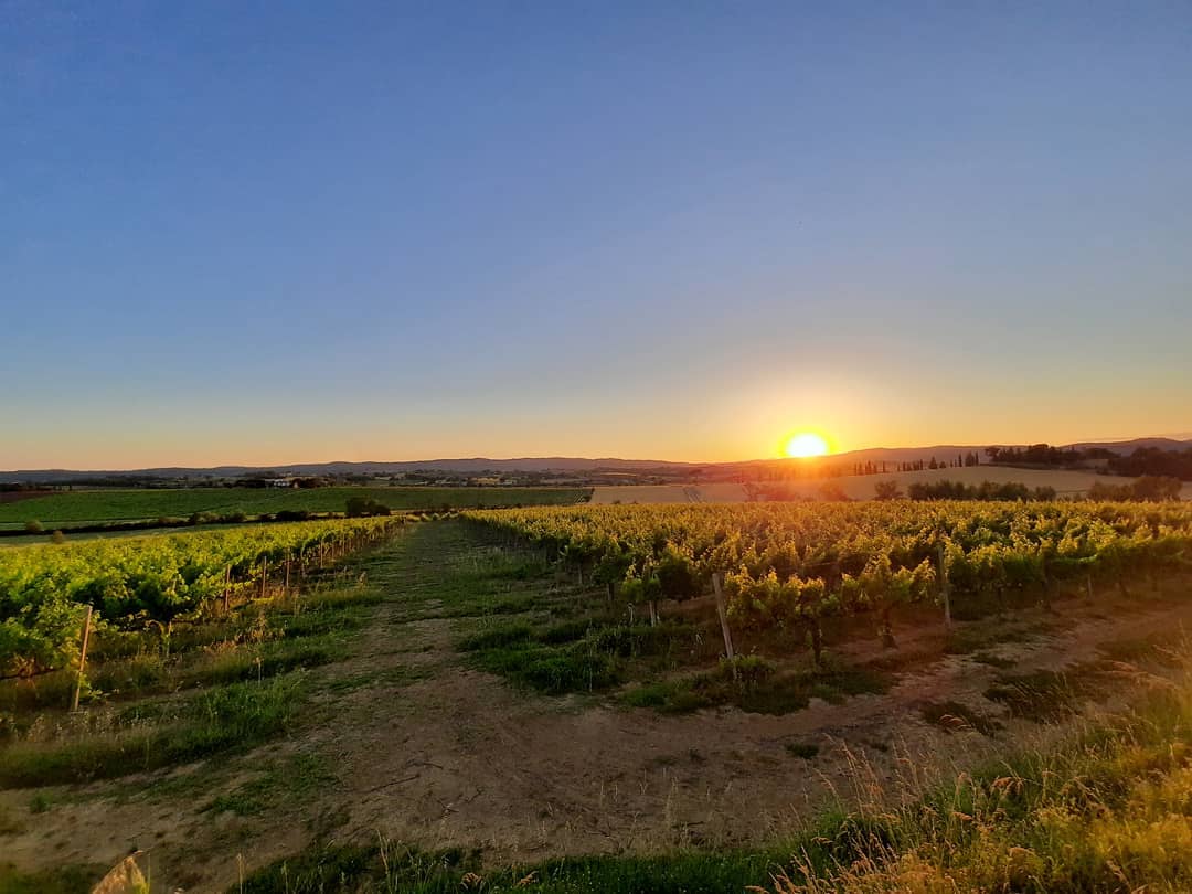 Azienda agricola San Luciano