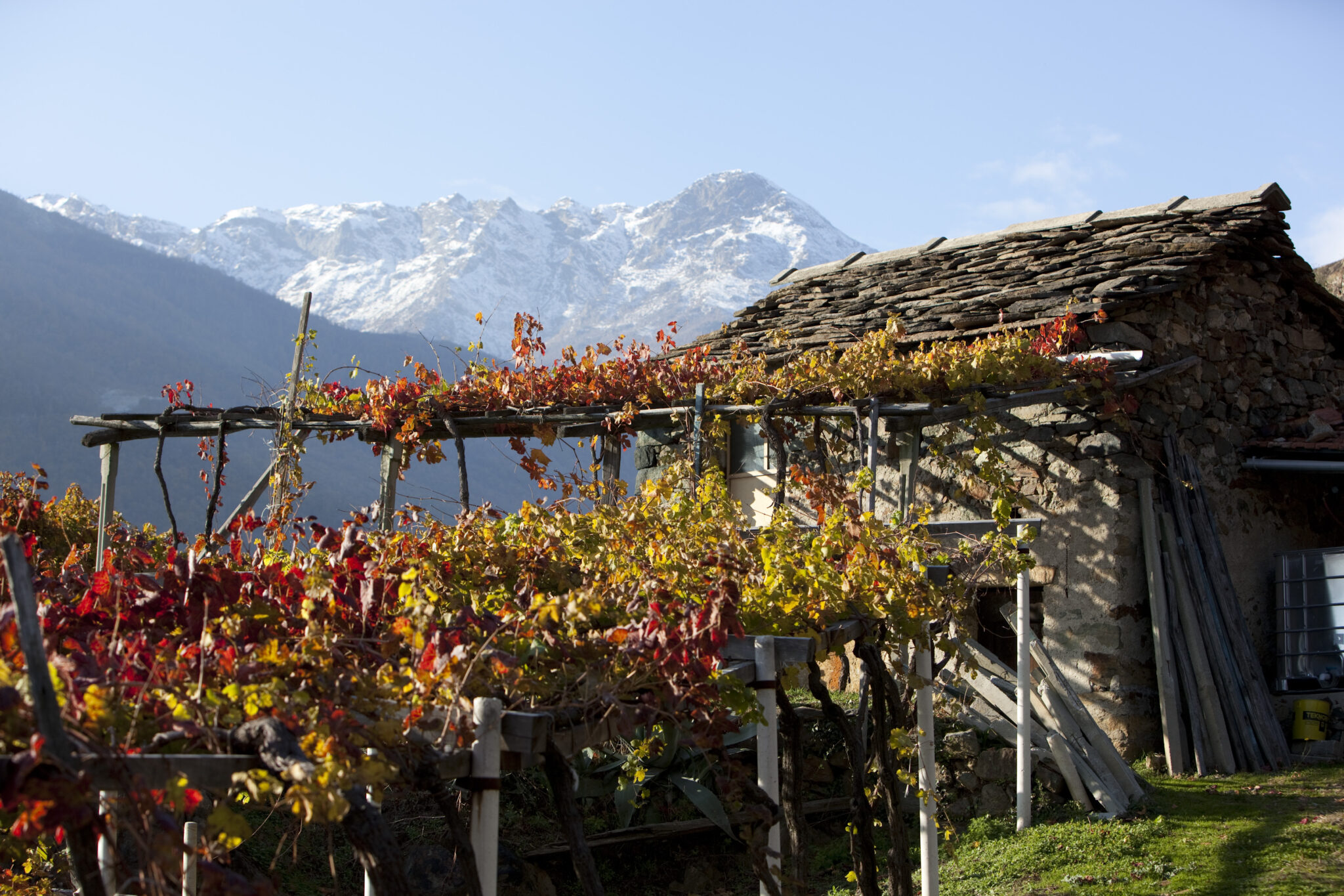 Azienda Agricola Giovanetto