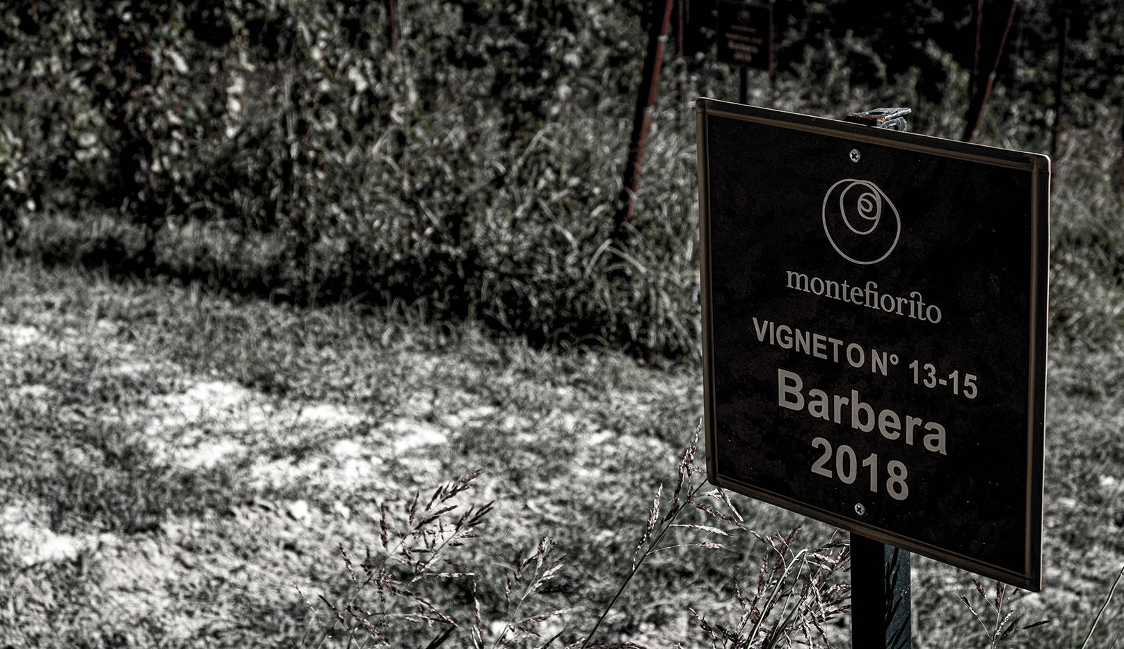 Montefiorito Srl. Societa’ Agricola