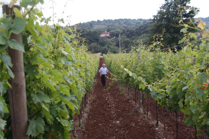 Cantina Sant'Andrea