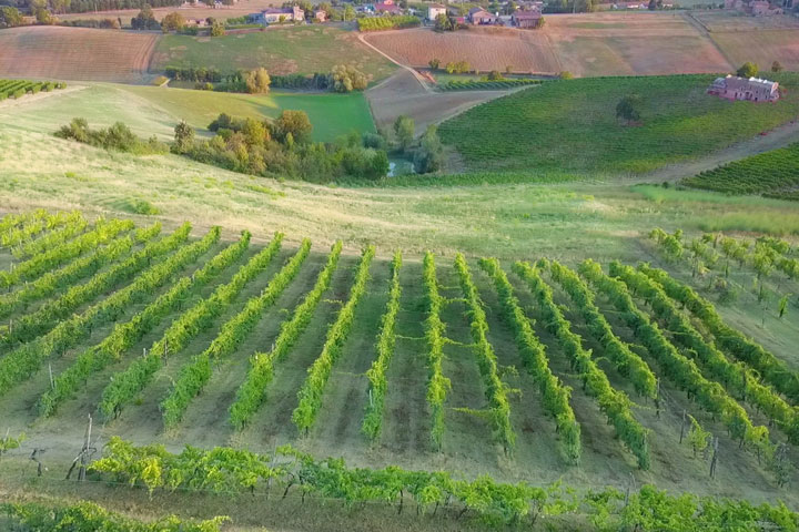 Azienda Agricola Zanasi