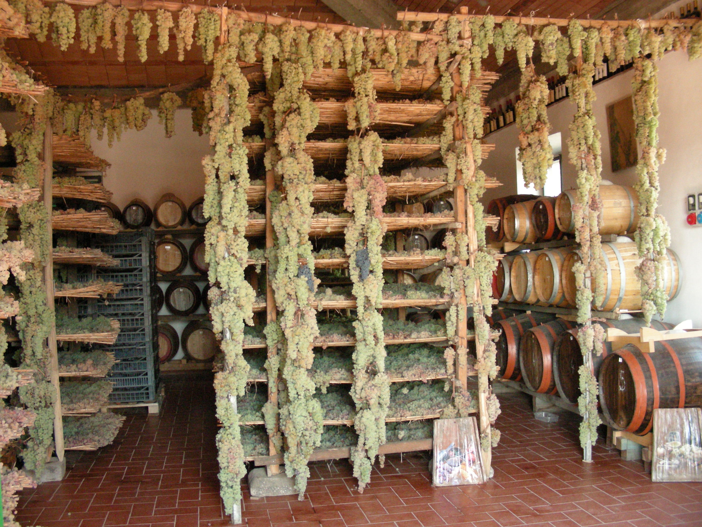 Società Agricola Marini Giuseppe