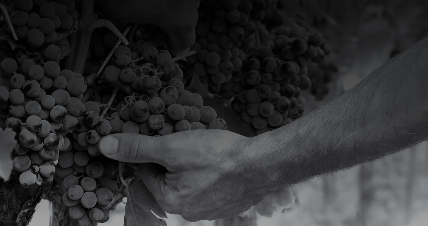 Cantina Lunalughente