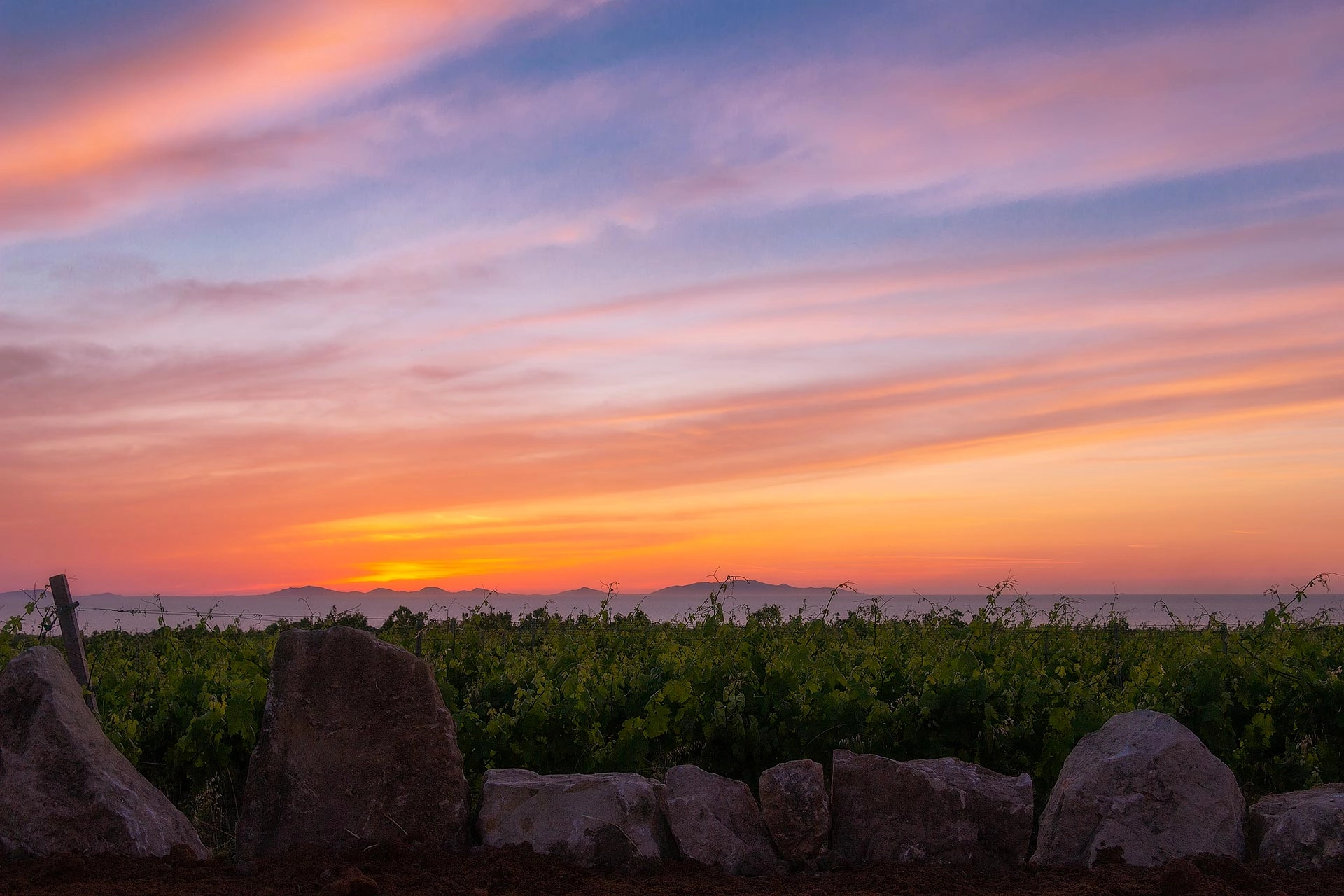 Vitivinicola Nuraghe 'e Sole