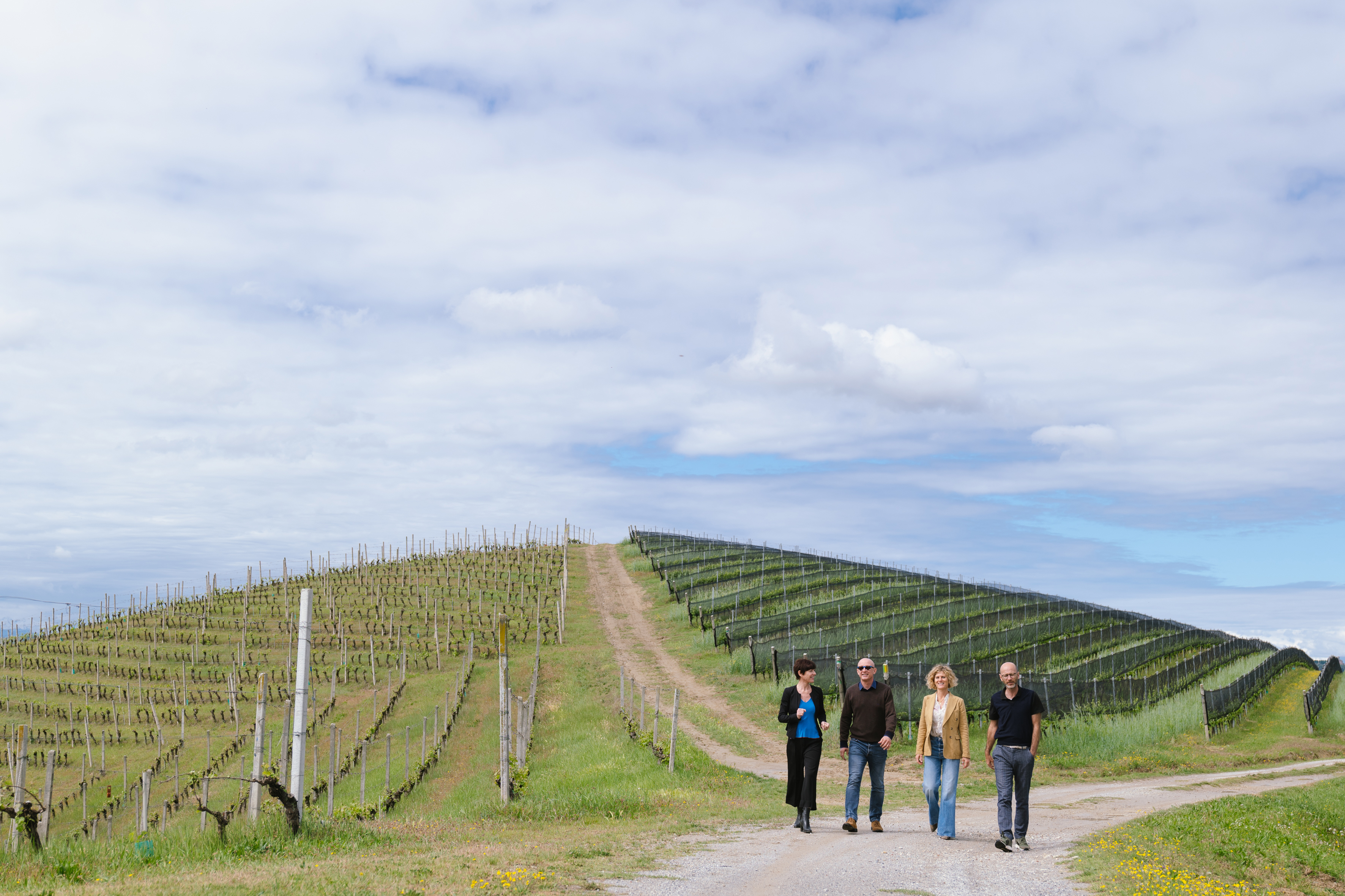 Ceretto Aziende Vinicole