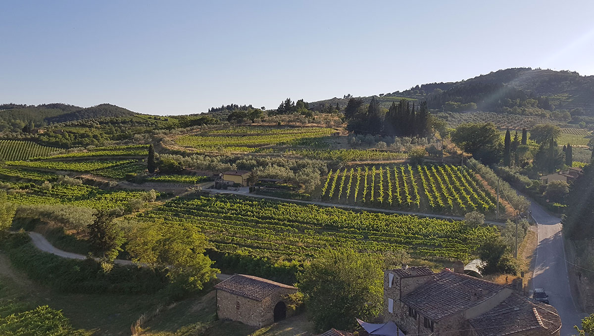 Montefioralle Winery