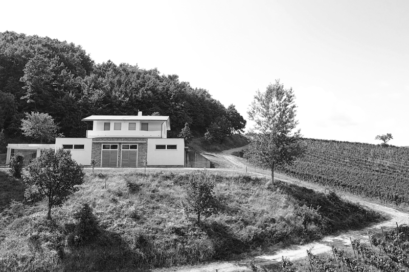 VI.NI.CA. s.r.l. Società Agricola