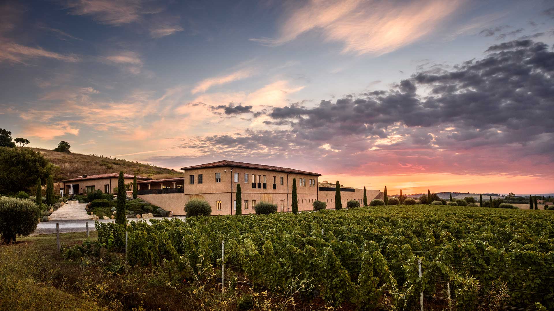 Monteverro Srl Societá Agricola