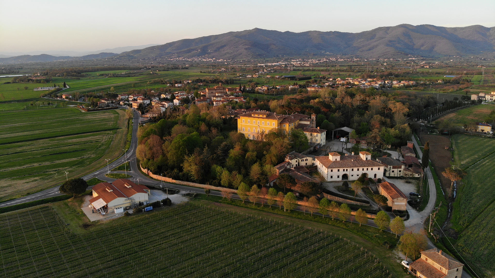 Tenuta Di Frassineto