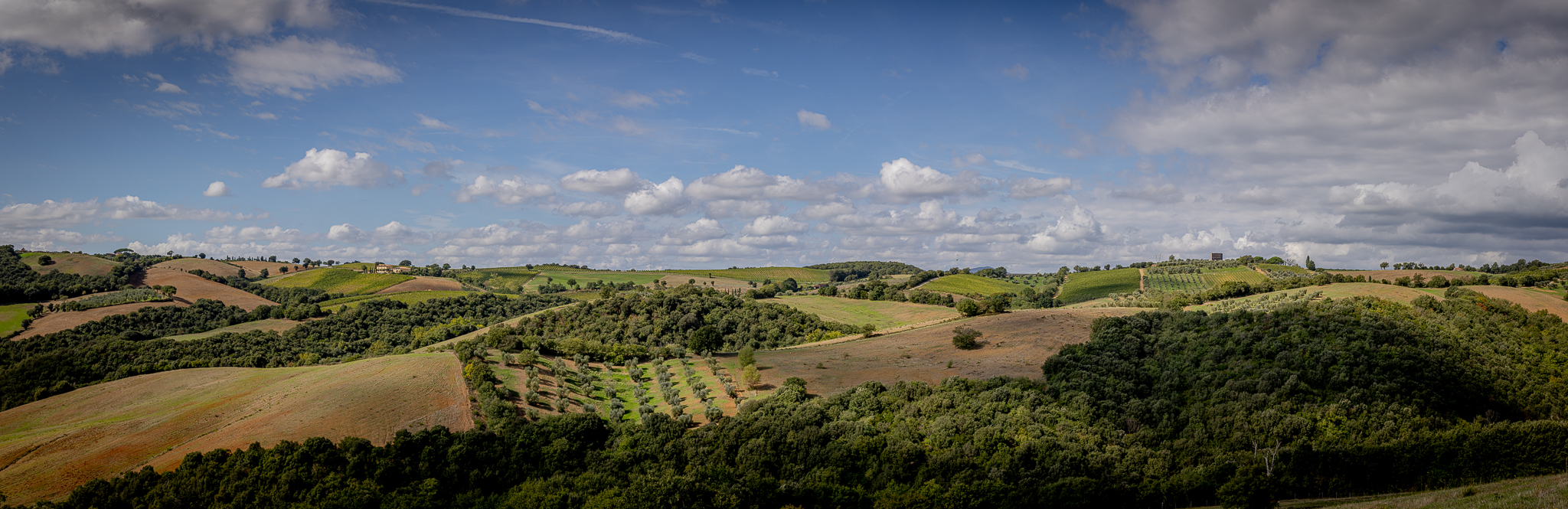 Cantina di Collemassari