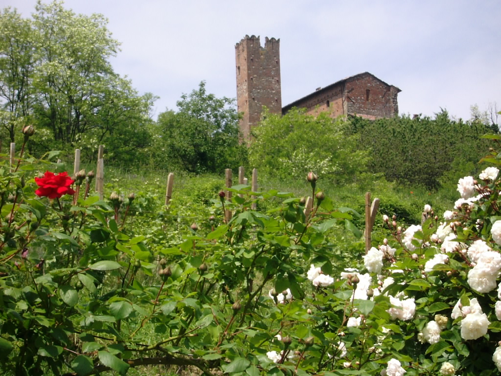 Azienda agricola Ferrari Dario e Alberto