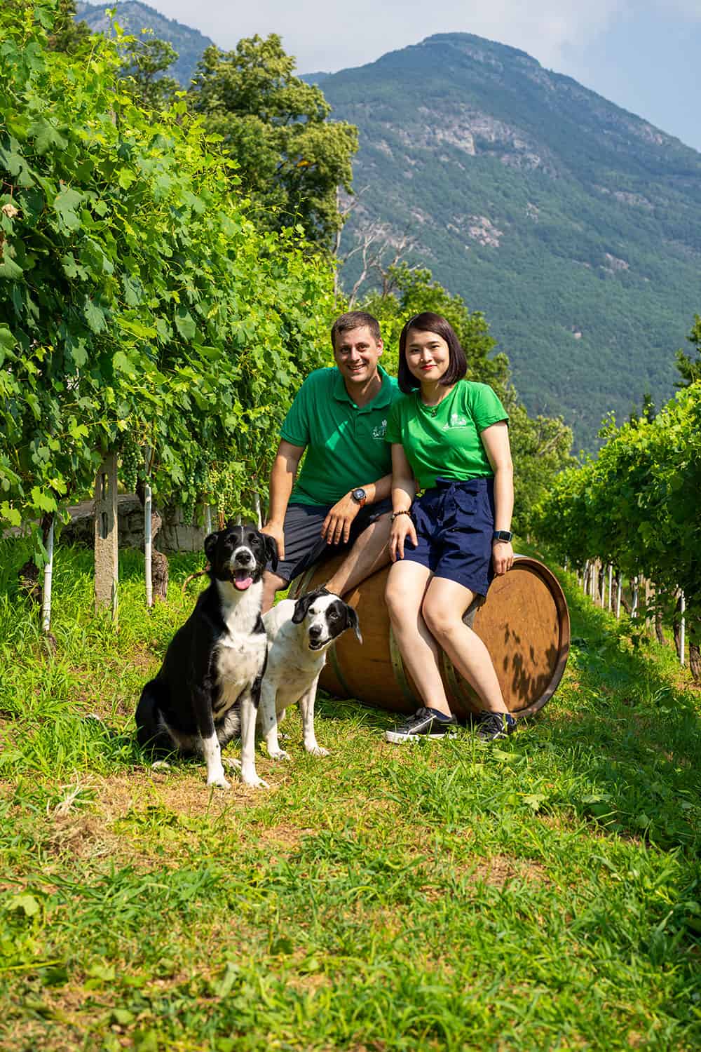 Azienda vitivinicola Edoardo Patrone