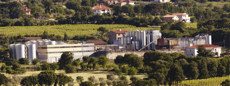 Punto di vendita Cantina di Solopaca