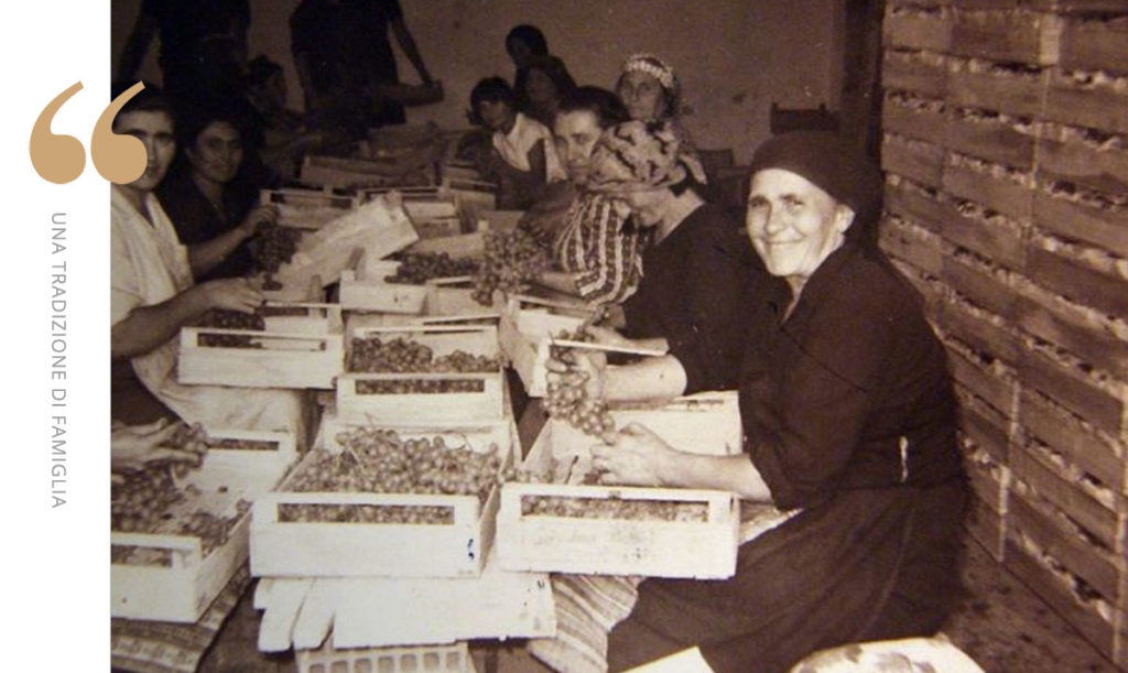 Cantine Ettore Galasso