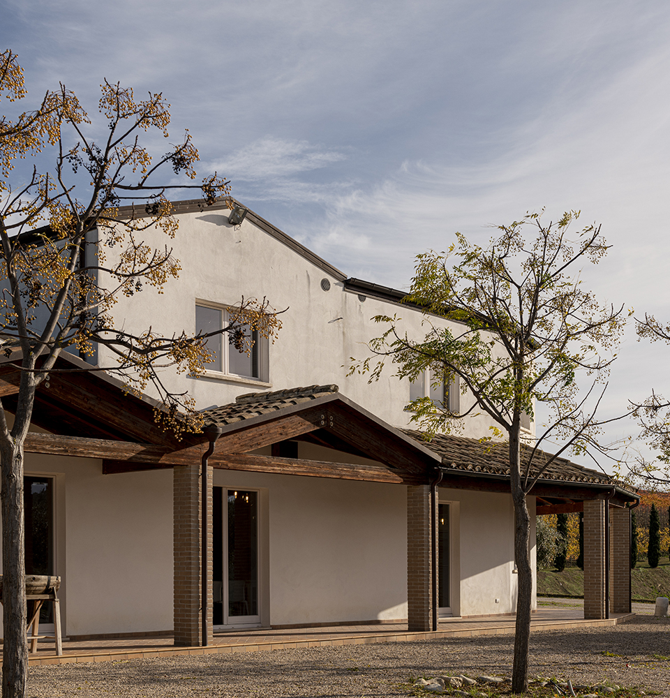 Contesa Vini