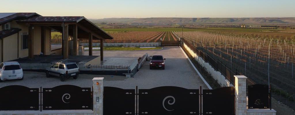 Azienda agricola Catalano Saverio Mauro