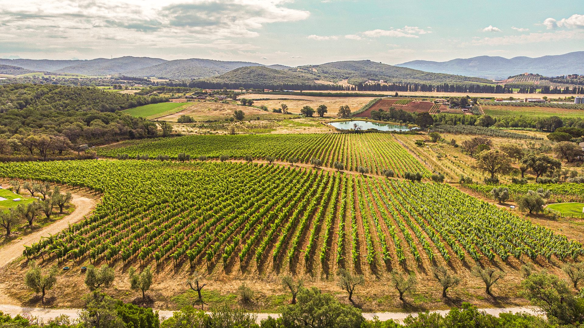 cantina Podere La Pace