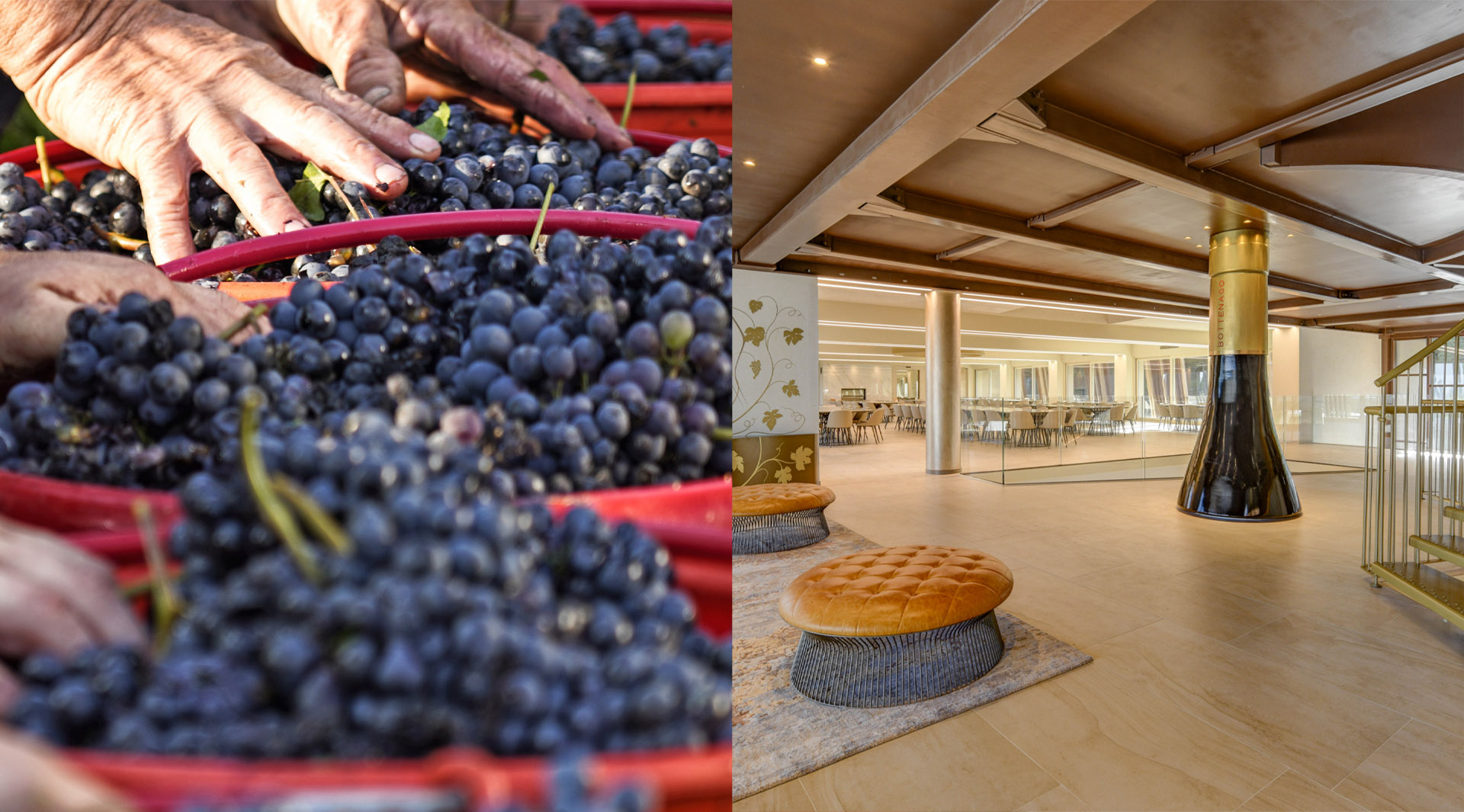 Cantina Bottenago