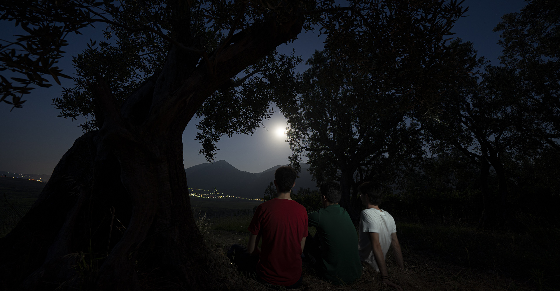 Viticultori Ca' Stelle