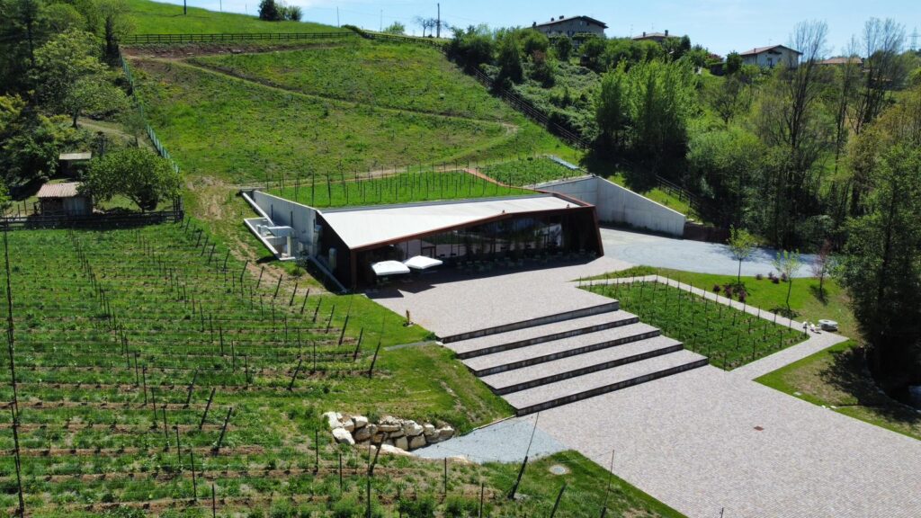 Cantina Martinelli