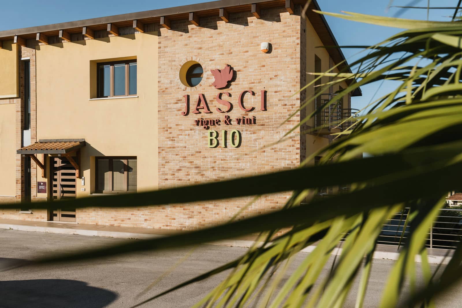 Cantina Jasci
