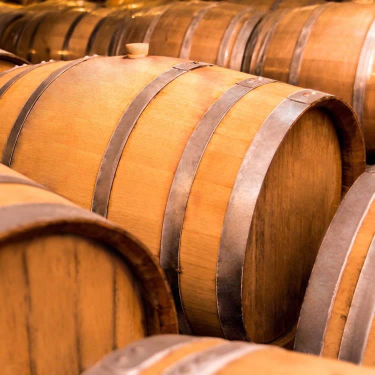 Cantina Di Biase
