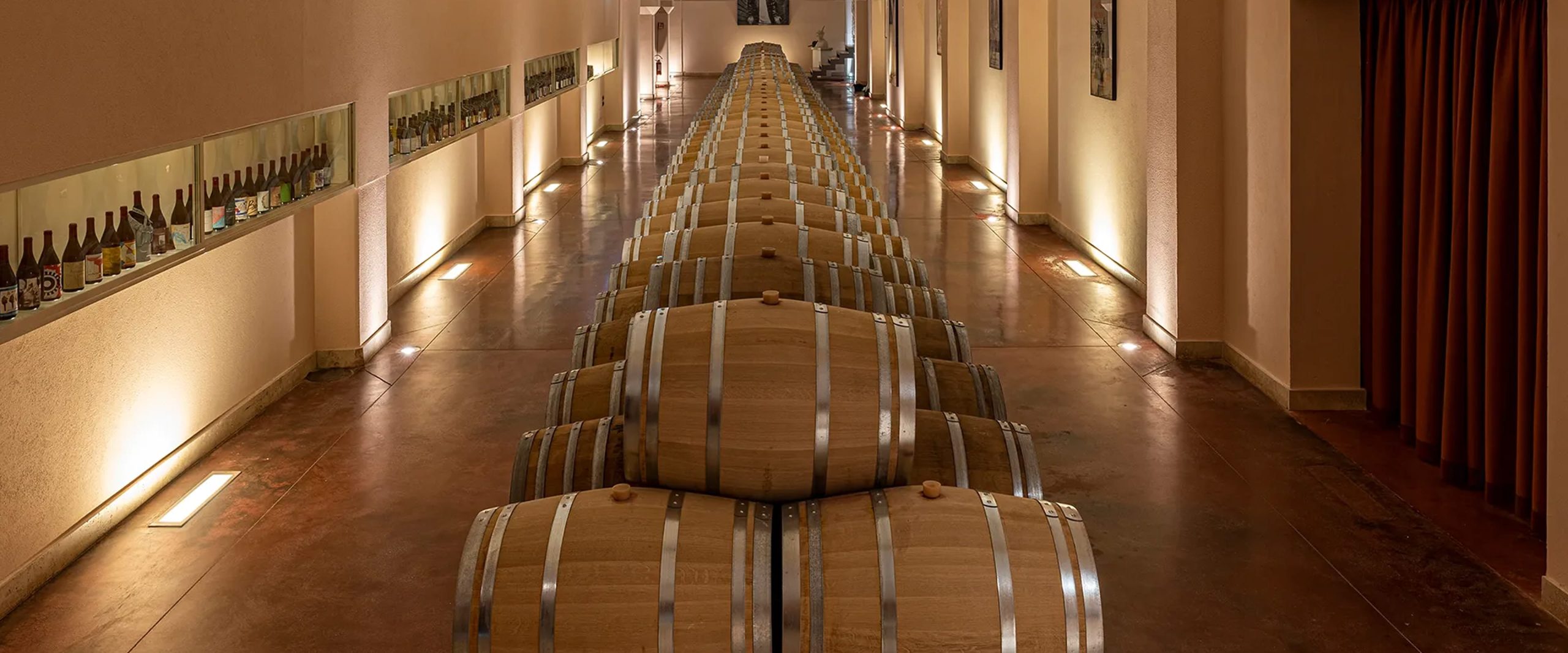 Azienda Agricola Ciccio Zaccagnini s.r.l.