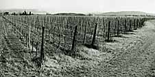 Bressan Wines
