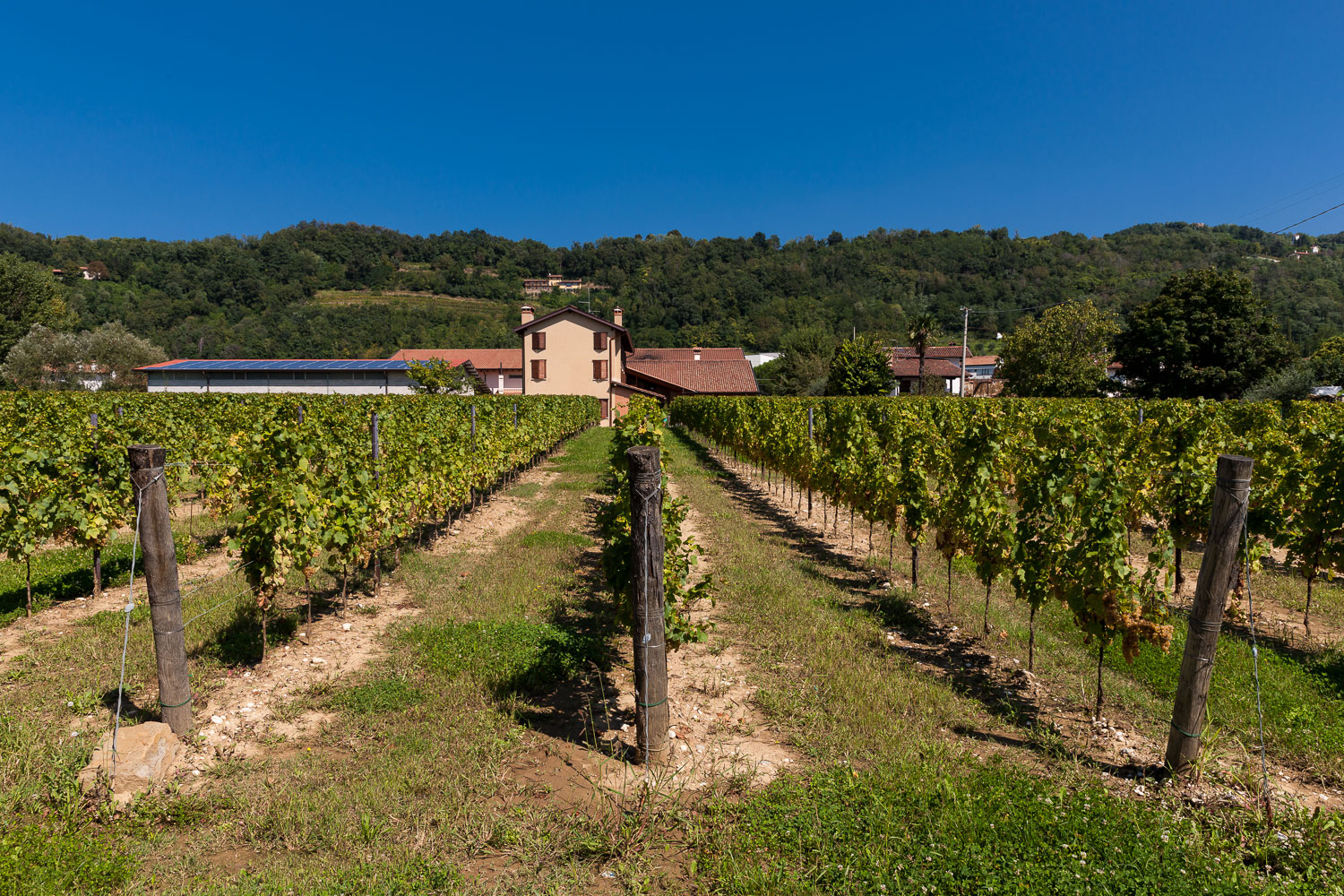 Borgo Savaian