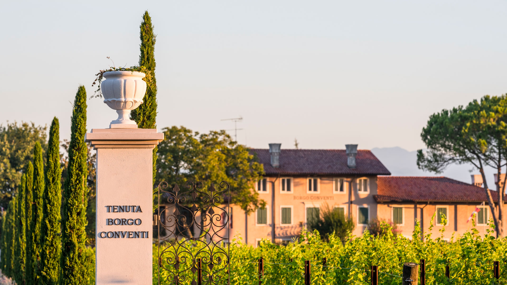 Tenuta Borgo Conventi