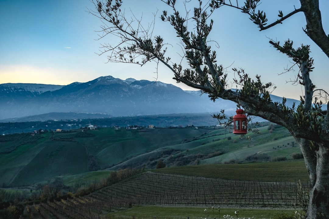 Azienda Tilli