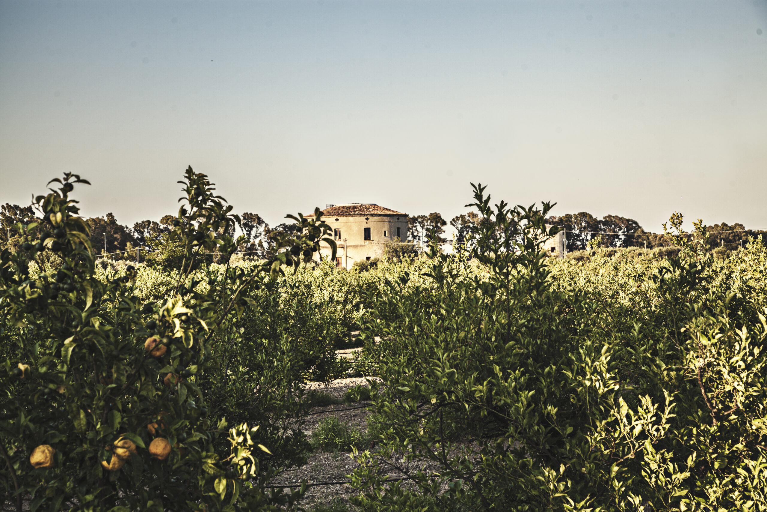Masseria Battifarano
