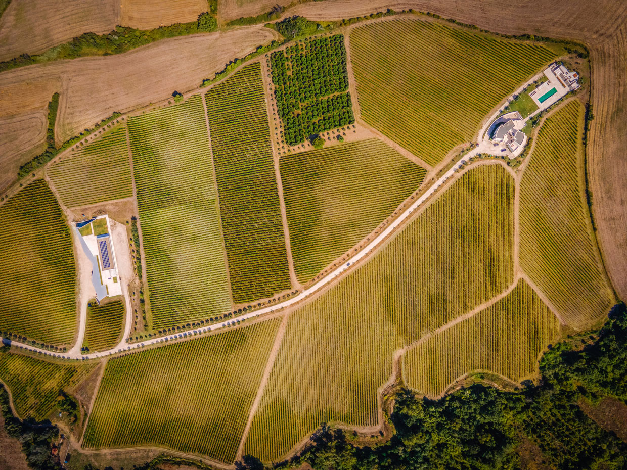 Fonzone Winery