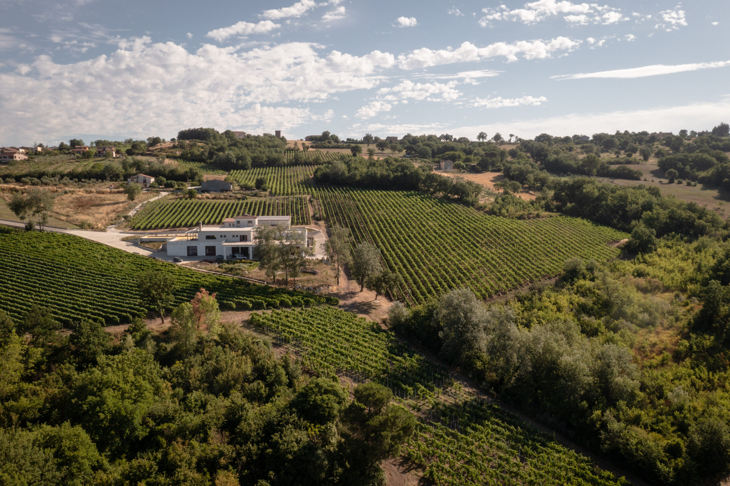 Tenuta Del Meriggio