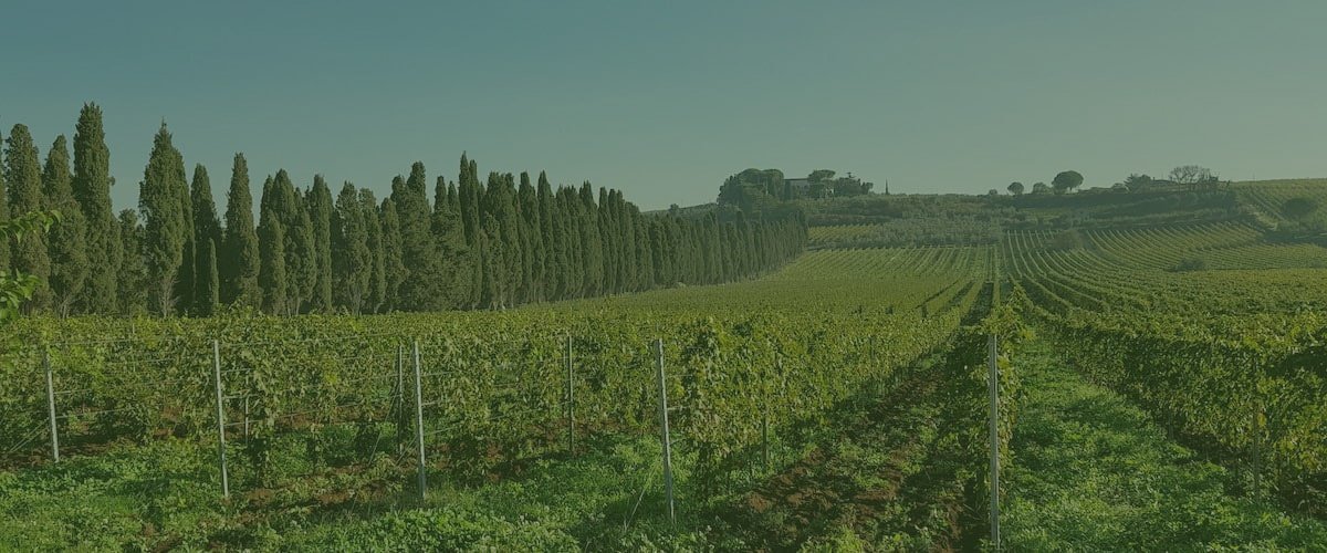 Tenuta Di Pietra Porzia