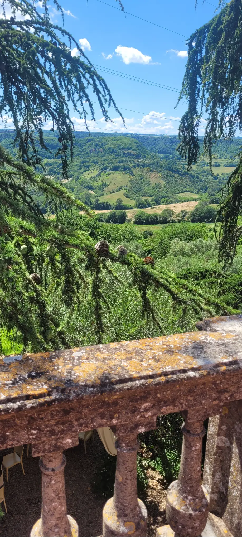 Fattoria Madonna Delle Macchie